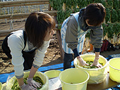 美松 みのや 大根葉で蓋を・・